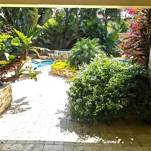 Adorable 1-bedroom-apartment 2 Km From Eagle Apartment Palm Beach